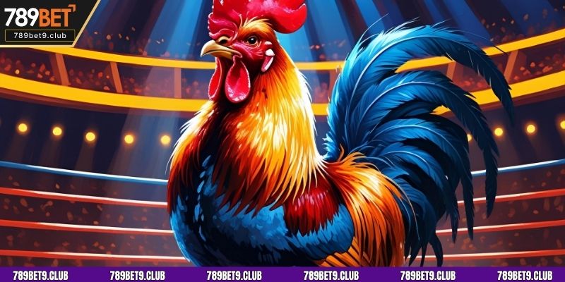 Các hình thức cá cược đá gà 789BET hấp dẫn nhất hiện nay
