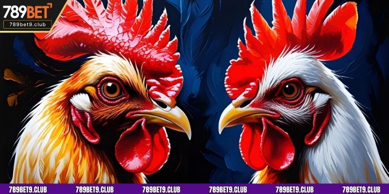 Top 4 loại kèo cá cược đá gà phổ biến nhất tại 789BET