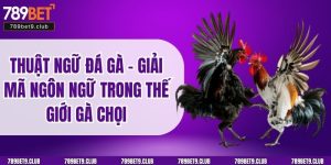 Thuật Ngữ Đá Gà – Giải Mã Ngôn Ngữ Trong Thế Giới Gà Chọi