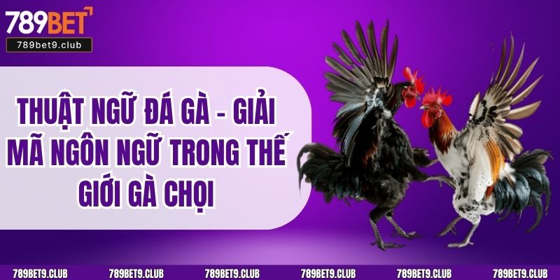 Thuật Ngữ Đá Gà – Giải Mã Ngôn Ngữ Trong Thế Giới Gà Chọi
