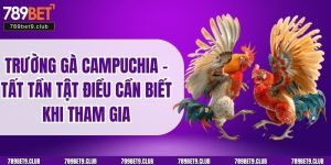 Trường Gà Campuchia – Tất Tần Tật Điều Cần Biết Khi Tham Gia